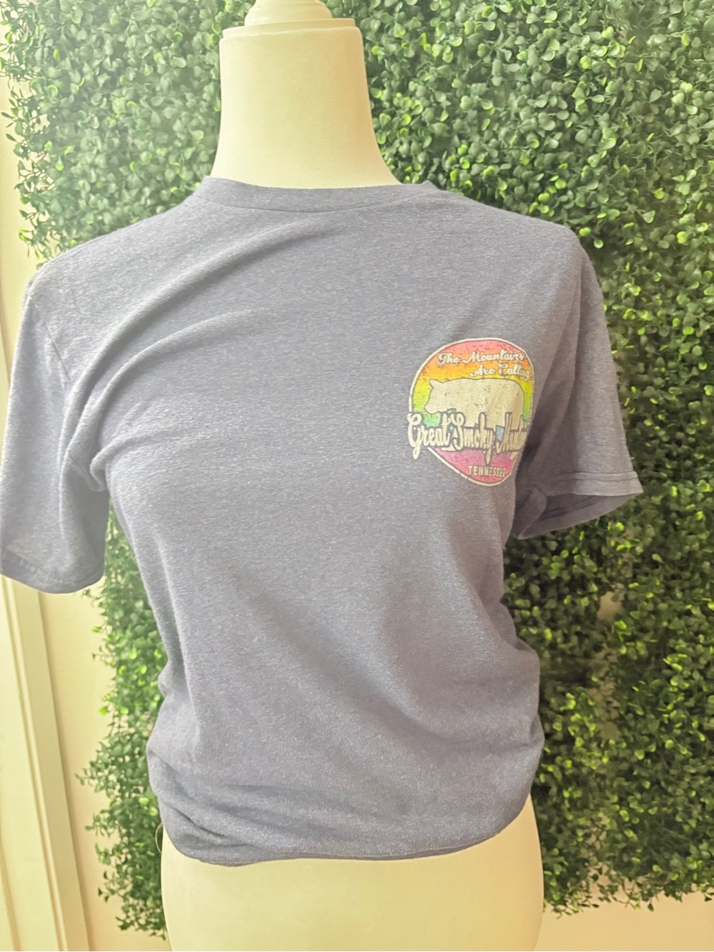 Unbranded Heather Blue Short-Sleeve Graphic Tee